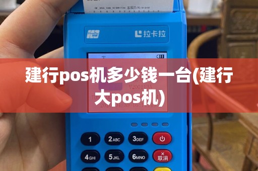 建行pos机多少钱一台(建行大pos机)