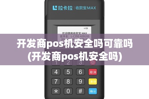 开发商pos机安全吗可靠吗(开发商pos机安全吗)