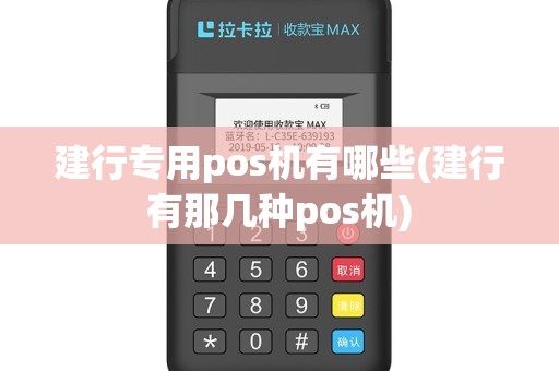 建行专用pos机有哪些(建行有那几种pos机)