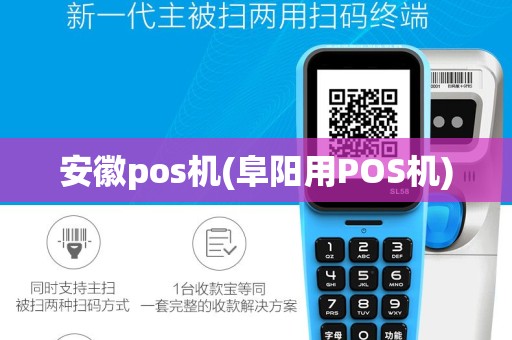 安徽pos机(阜阳用POS机)