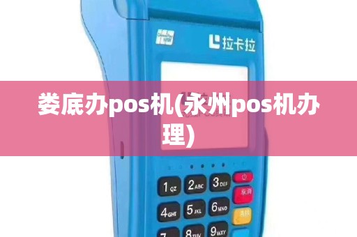 娄底办pos机(永州pos机办理)