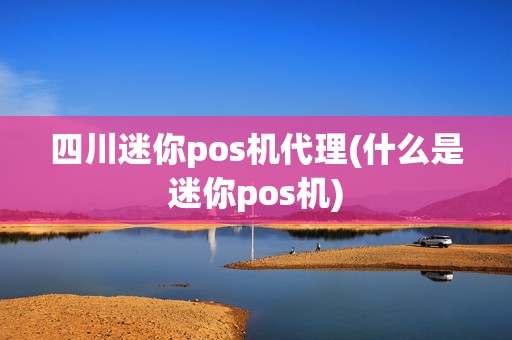 四川迷你pos机代理(什么是迷你pos机)