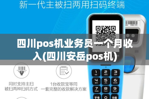 四川pos机业务员一个月收入(四川安岳pos机)