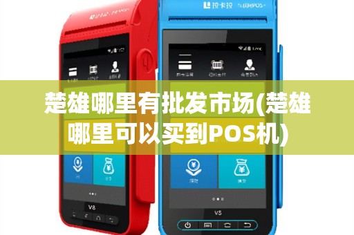 楚雄哪里有批发市场(楚雄哪里可以买到POS机)
