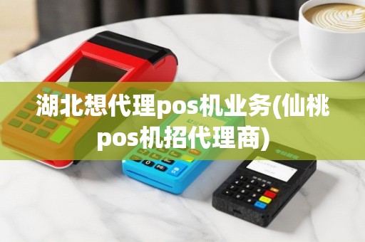 湖北想代理pos机业务(仙桃pos机招代理商)