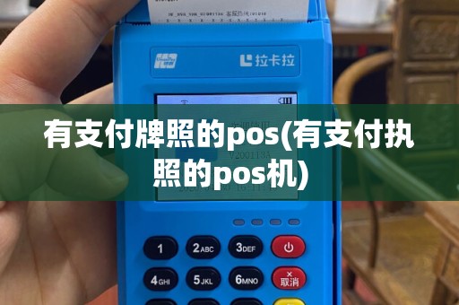有支付牌照的pos(有支付执照的pos机)