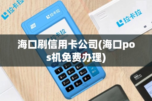 海口刷信用卡公司(海口pos机免费办理)