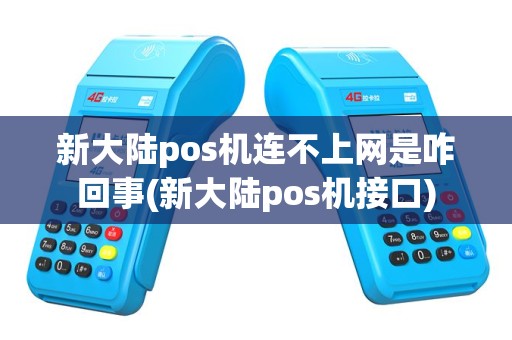 新大陆pos机连不上网是咋回事(新大陆pos机接口)