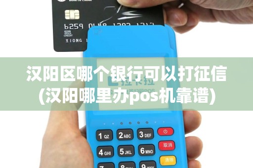 汉阳区哪个银行可以打征信(汉阳哪里办pos机靠谱)