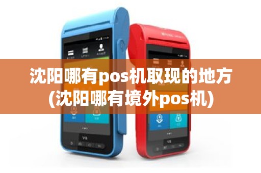 沈阳哪有pos机取现的地方(沈阳哪有境外pos机)