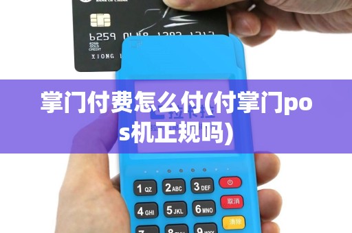 掌门付费怎么付(付掌门pos机正规吗)