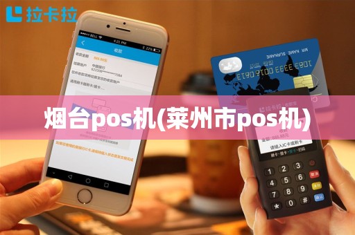 烟台pos机(莱州市pos机)