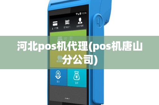 河北pos机代理(pos机唐山分公司)