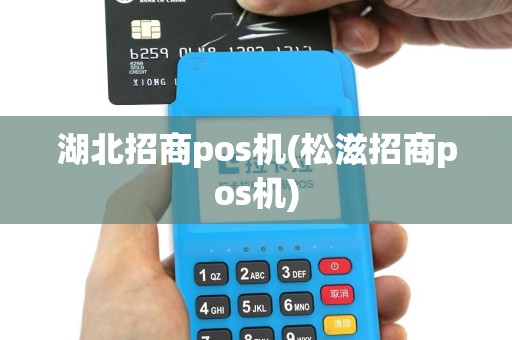 湖北招商pos机(松滋招商pos机)