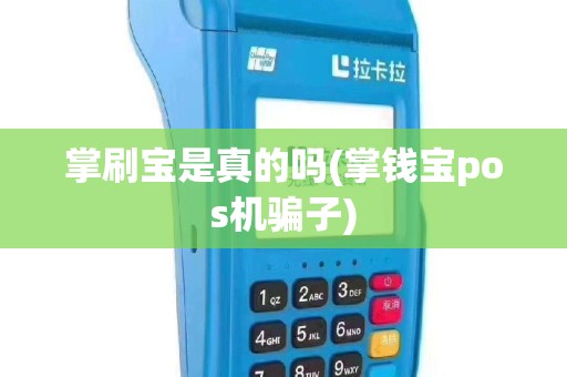 掌刷宝是真的吗(掌钱宝pos机骗子)