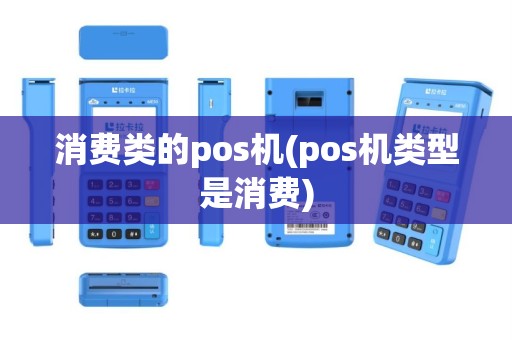 消费类的pos机(pos机类型是消费)