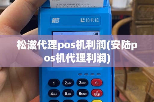 松滋代理pos机利润(安陆pos机代理利润)