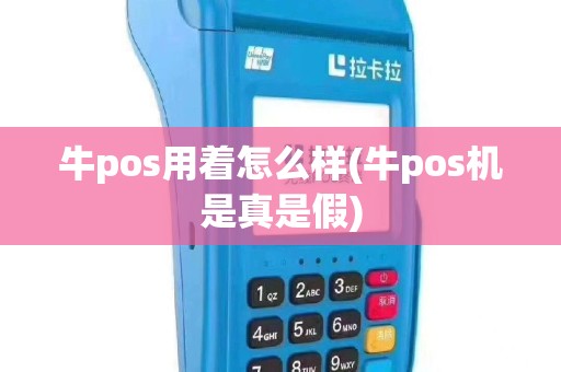 牛pos用着怎么样(牛pos机是真是假)