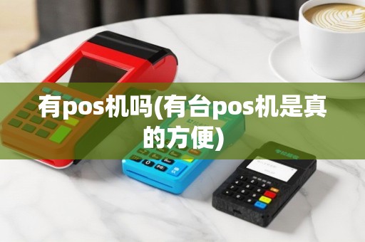 有pos机吗(有台pos机是真的方便)