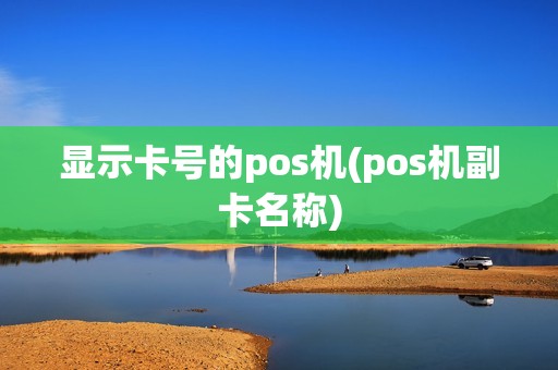显示卡号的pos机(pos机副卡名称)