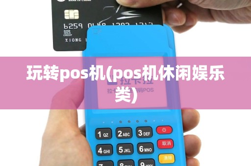 玩转pos机(pos机休闲娱乐类)
