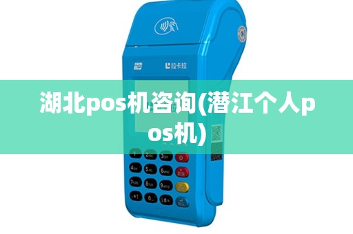 湖北pos机咨询(潜江个人pos机)
