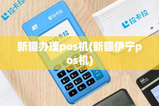 新疆办理pos机(新疆伊宁pos机)