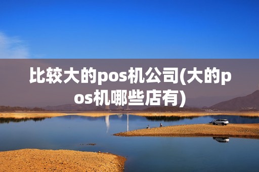 比较大的pos机公司(大的pos机哪些店有)