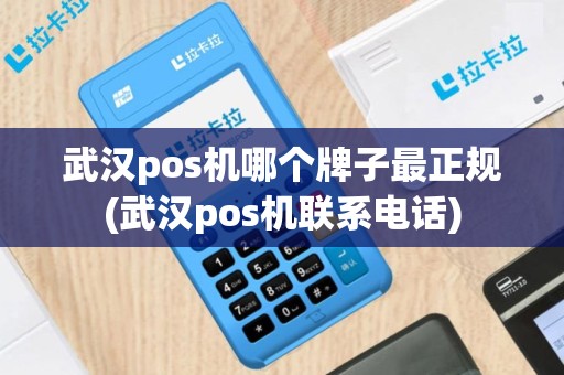 武汉pos机哪个牌子最正规(武汉pos机联系电话)