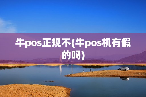 牛pos正规不(牛pos机有假的吗)