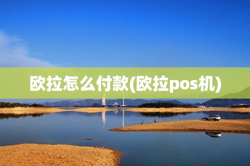 欧拉怎么付款(欧拉pos机)