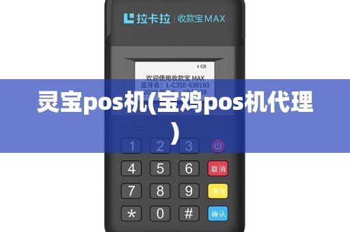 灵宝pos机(宝鸡pos机代理)