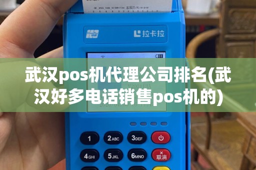 武汉pos机代理公司排名(武汉好多电话销售pos机的)