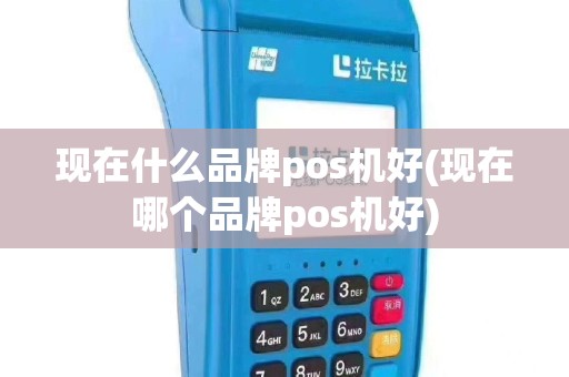 现在什么品牌pos机好(现在哪个品牌pos机好)