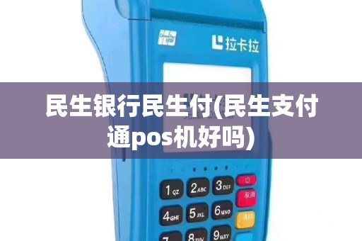 民生银行民生付(民生支付通pos机好吗)