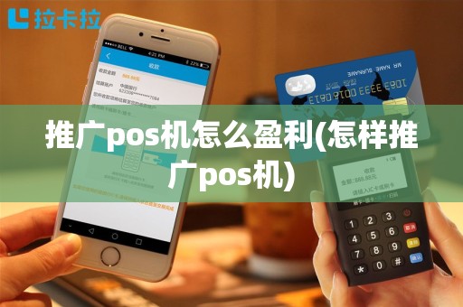 推广pos机怎么盈利(怎样推广pos机)
