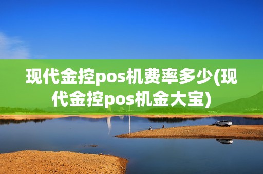 现代金控pos机费率多少(现代金控pos机金大宝)