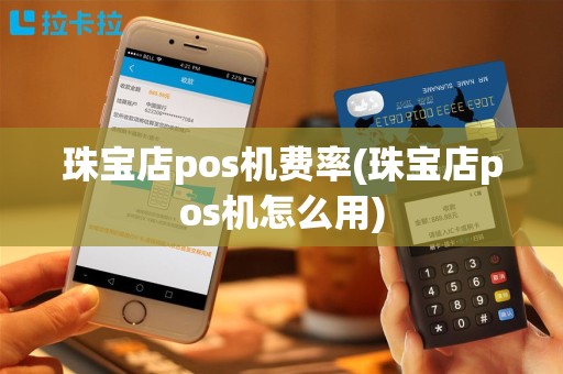 珠宝店pos机费率(珠宝店pos机怎么用)