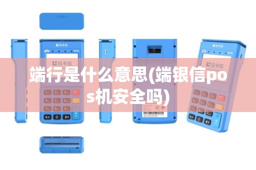 端行是什么意思(端银信pos机安全吗)