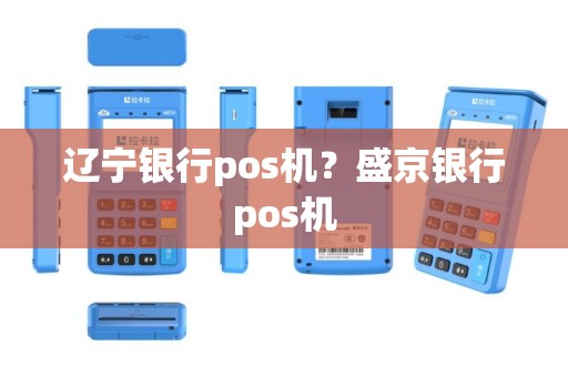 辽宁银行pos机？盛京银行pos机