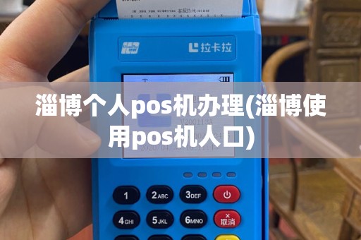 淄博个人pos机办理(淄博使用pos机人口)