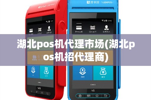 湖北pos机代理市场(湖北pos机招代理商)