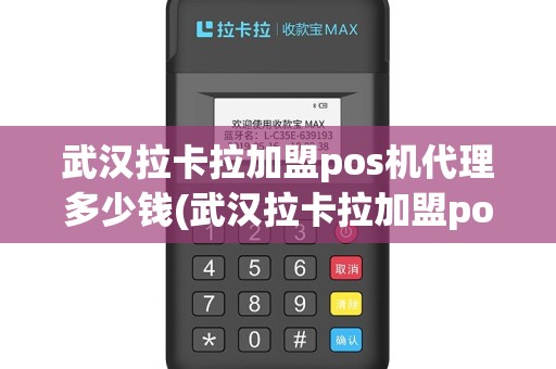 武汉拉卡拉加盟pos机代理多少钱(武汉拉卡拉加盟pos机代理)