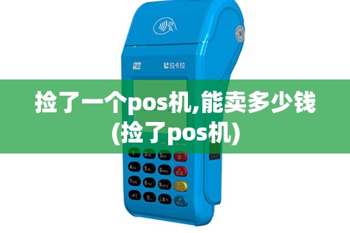 捡了一个pos机,能卖多少钱(捡了pos机)