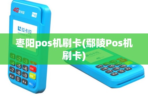 枣阳pos机刷卡(鄢陵Pos机刷卡)