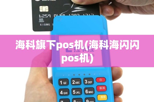 海科旗下pos机(海科海闪闪pos机)