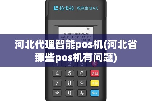 河北代理智能pos机(河北省那些pos机有问题)