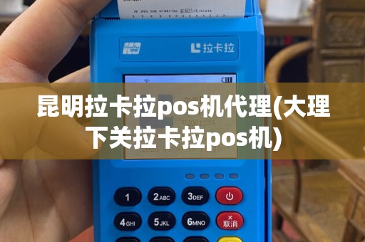 昆明拉卡拉pos机代理(大理下关拉卡拉pos机)