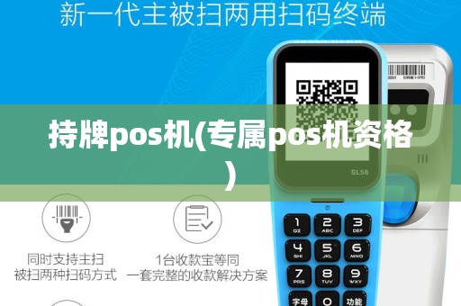 持牌pos机(专属pos机资格)
