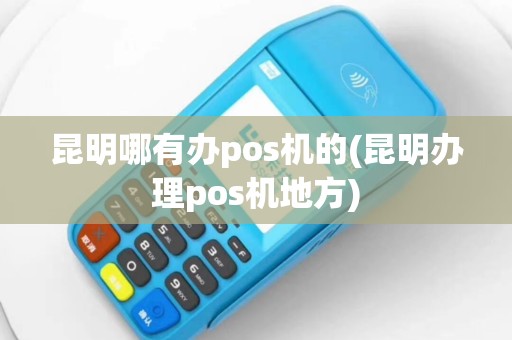 昆明哪有办pos机的(昆明办理pos机地方)